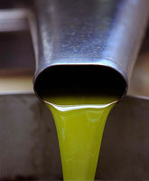 olio-extra-vergine-di-oliva-big.jpg